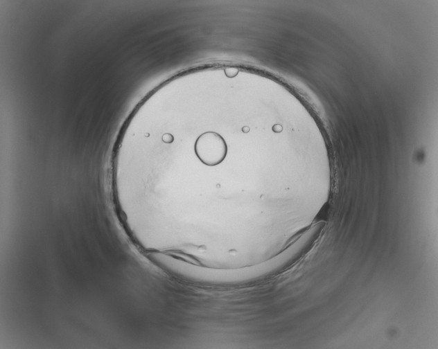 X0000116281287201001111027