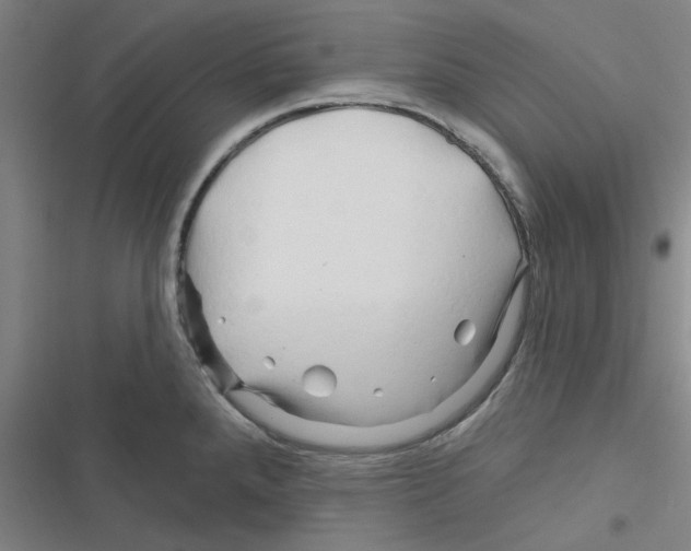 X0000116281288201001111027