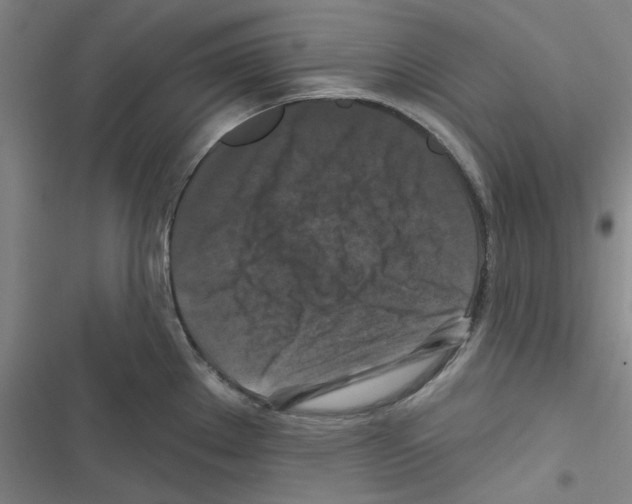 X0000116281289201001111027
