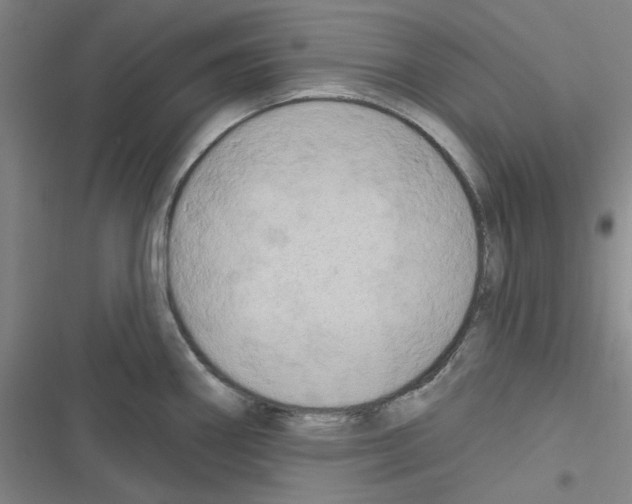 X0000116281290201001111027