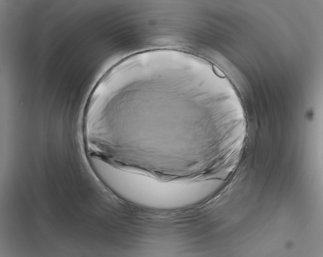 X0000116281291201001111027