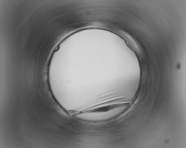 X0000116281292201001111027