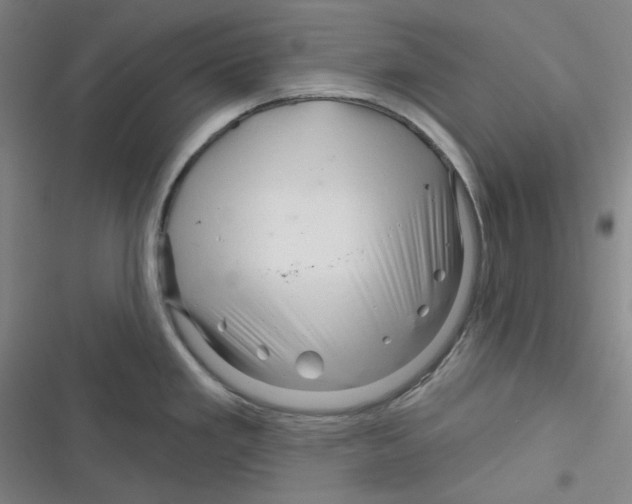X0000116281293201001111027
