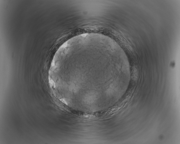 X0000116281297201001111027