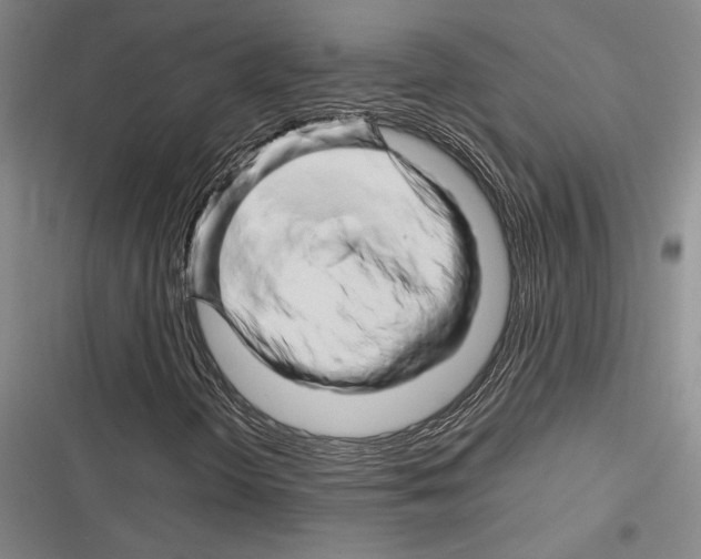 X0000116281298201001111027