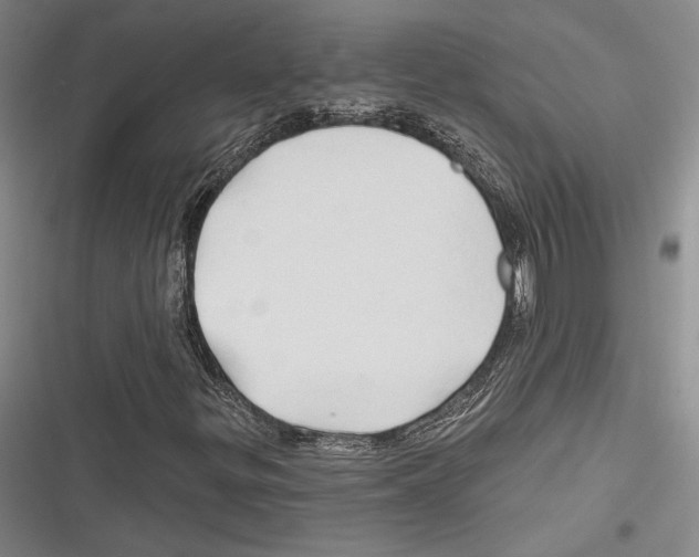 X0000116281299201001111027