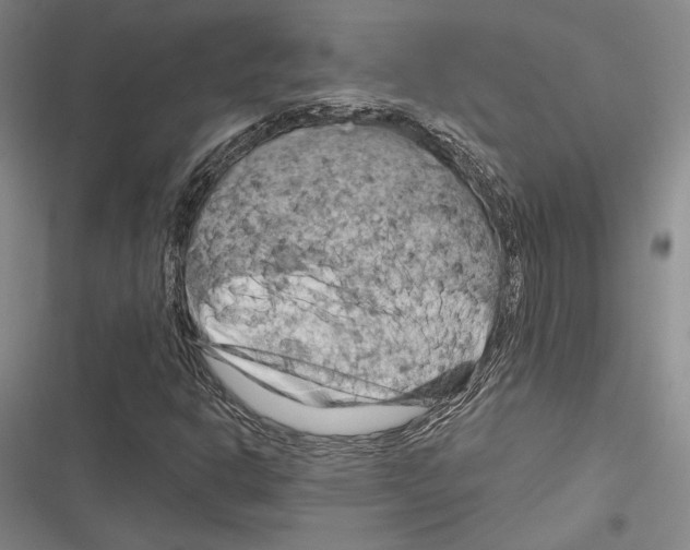 X0000116281302201001111027