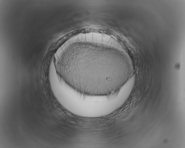 X0000116281303201001111027