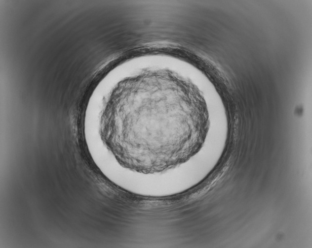 X0000116281305201001111027