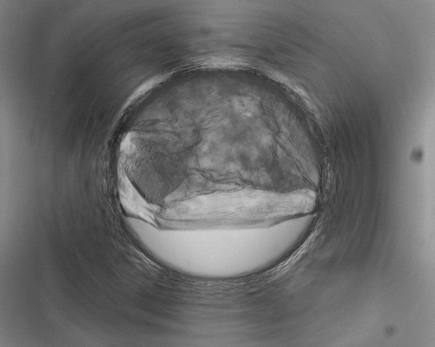 X0000116281306201001111027