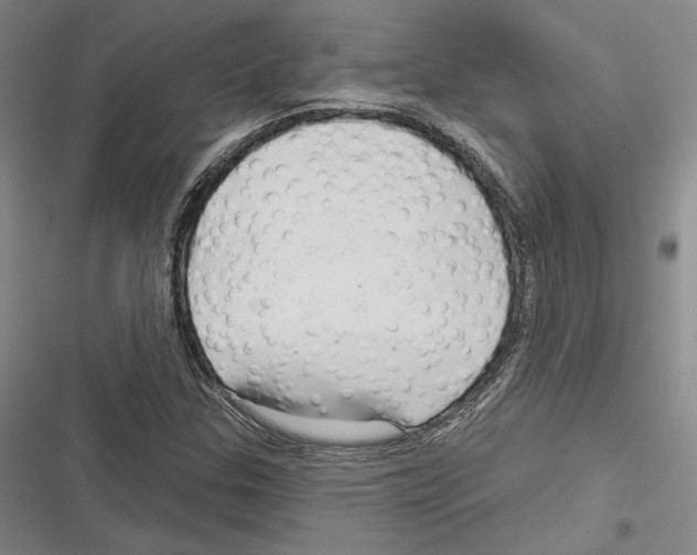 X0000116281307201001111027