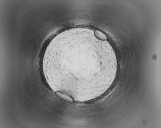 X0000116281309201001111027
