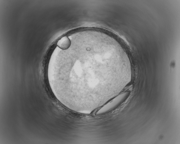 X0000116281311201001111027