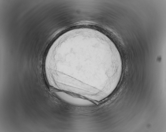 X0000116281313201001111027