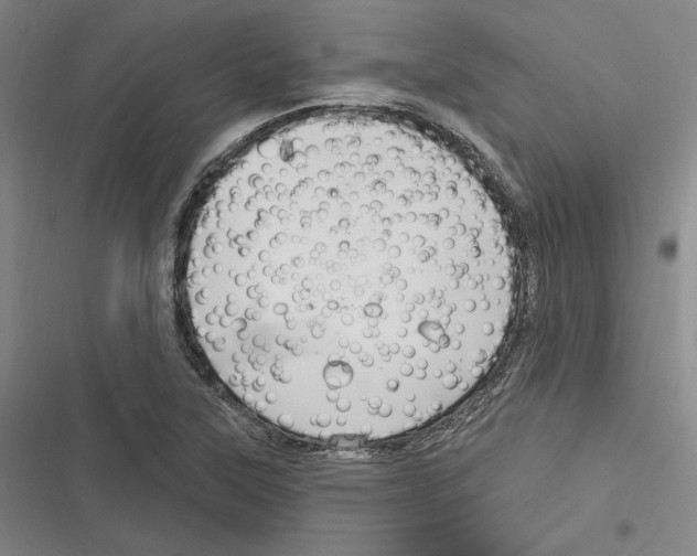 X0000116281315201001111027