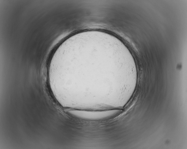 X0000116281317201001111027