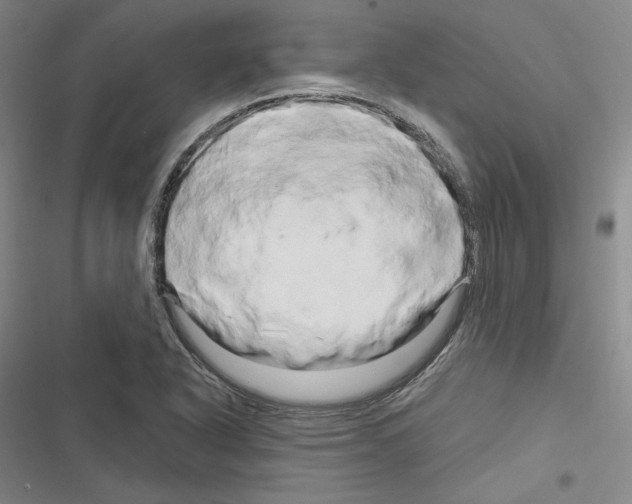 X0000116281318201001111027