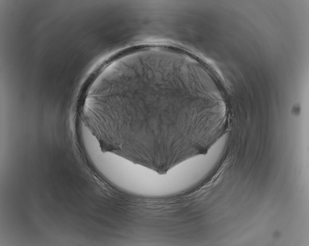X0000116281319201001111027