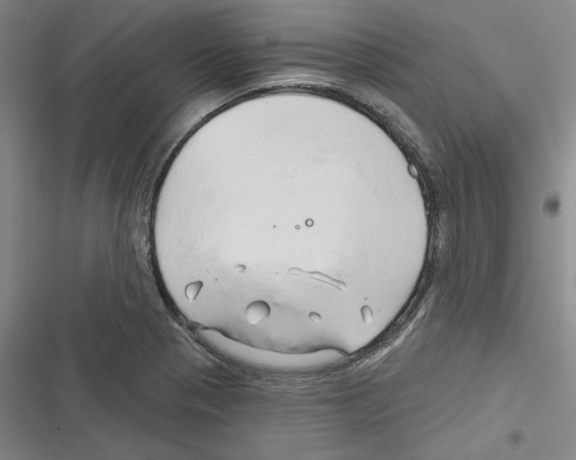 X0000116281321201001111027