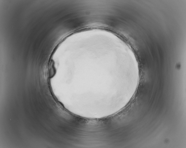 X0000116281322201001111027