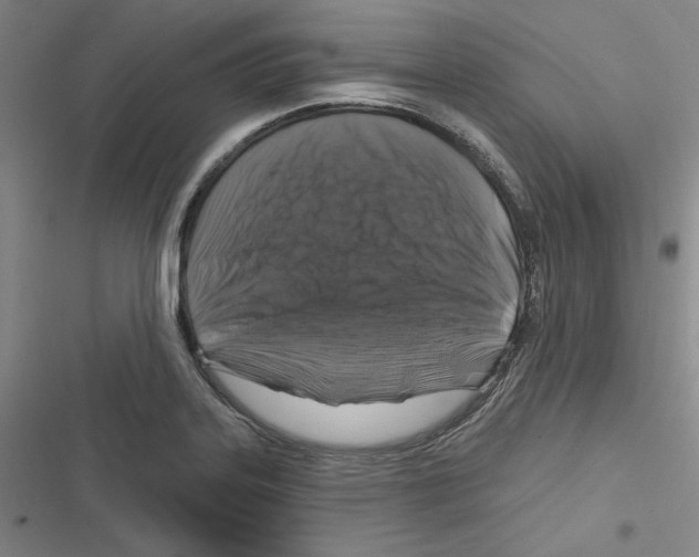 X0000116281323201001111027