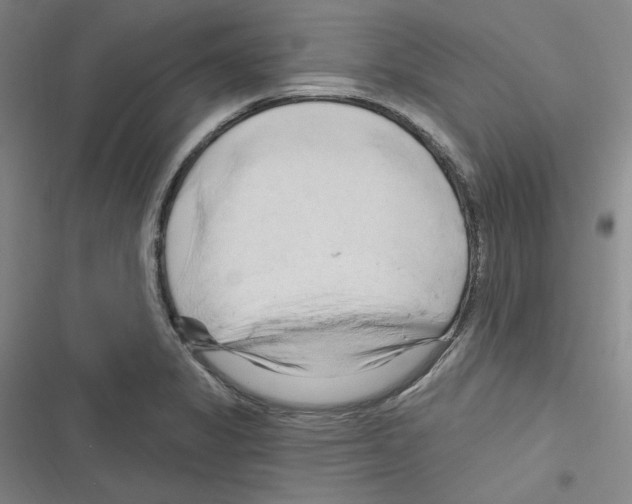 X0000116281325201001111027