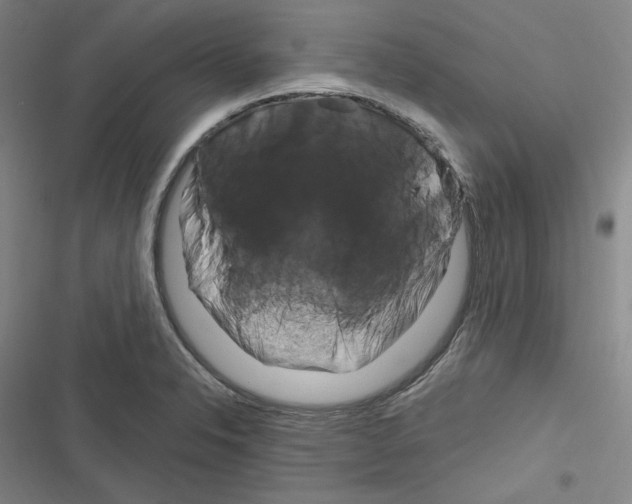 X0000116281326201001111027
