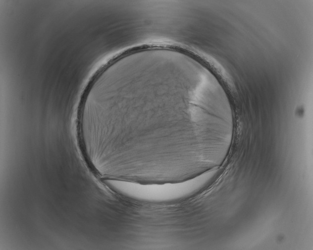 X0000116281327201001111027
