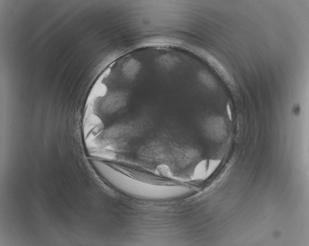 X0000116281329201001111027