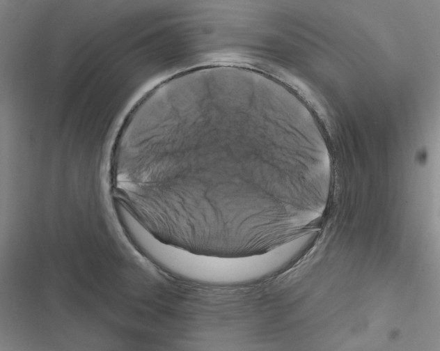 X0000116281331201001111027
