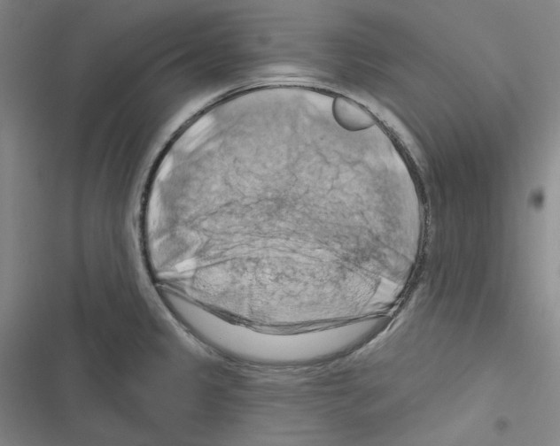 X0000116281333201001111027