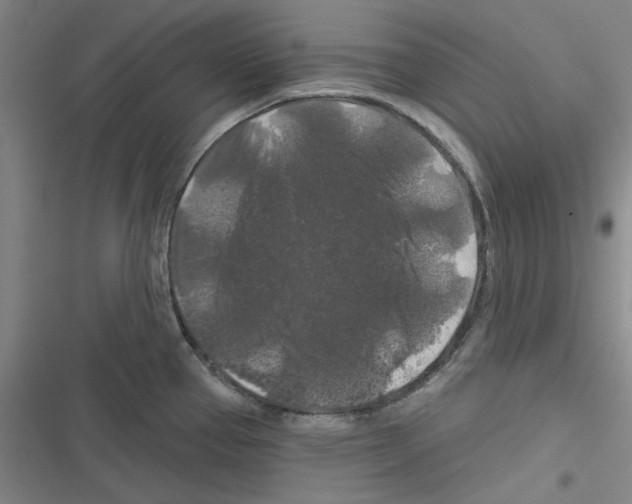 X0000116281337201001111027