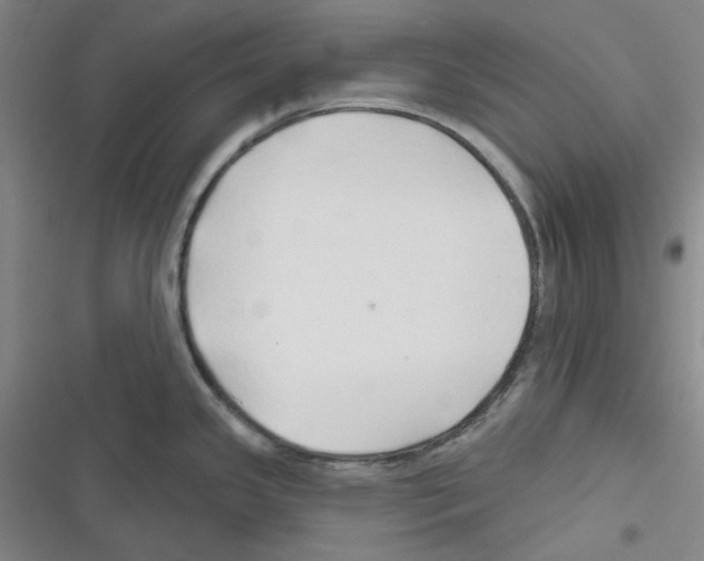 X0000116281341201001111027