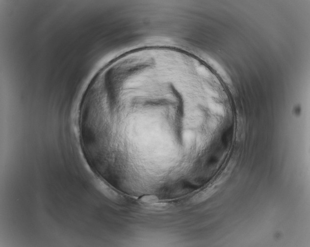 X0000116281342201001111027