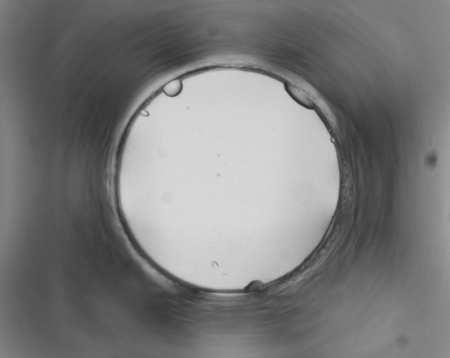X0000116281343201001111027