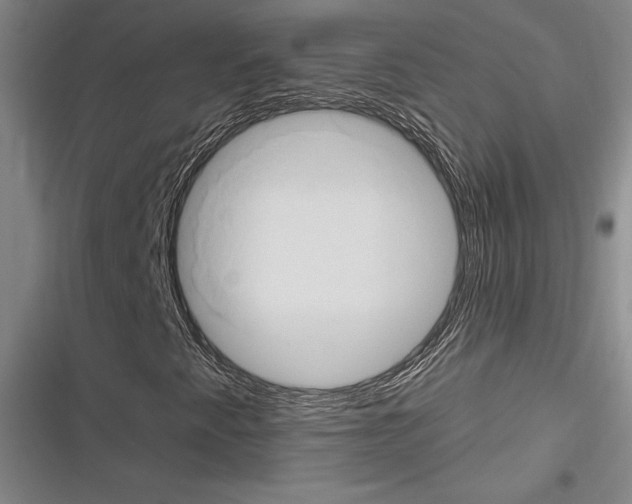 X0000116281345201001111027