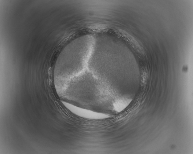 X0000116281346201001111027