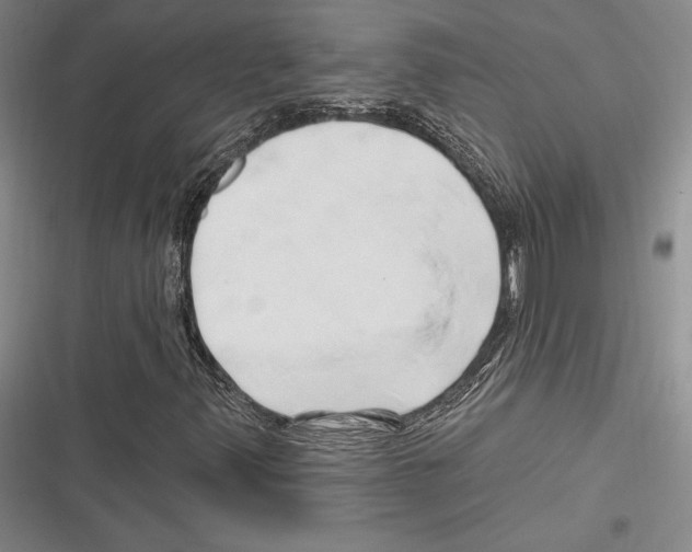 X0000116281347201001111027