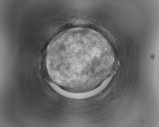 X0000116281348201001111027