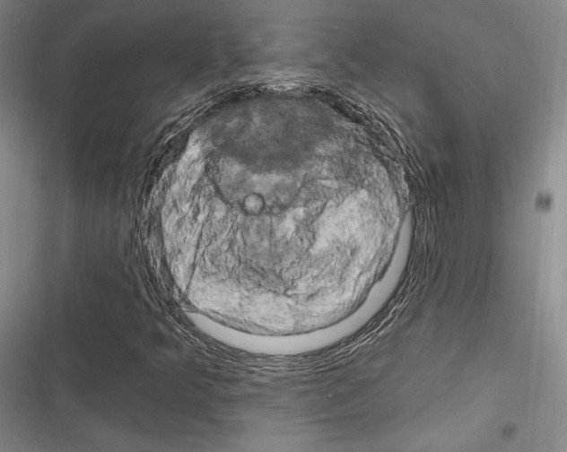 X0000116281349201001111027