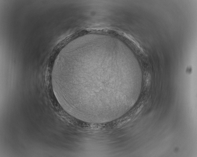 X0000116281350201001111027