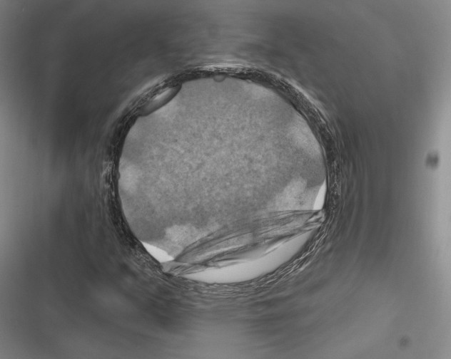 X0000116281351201001111027