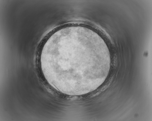 X0000116281352201001111027