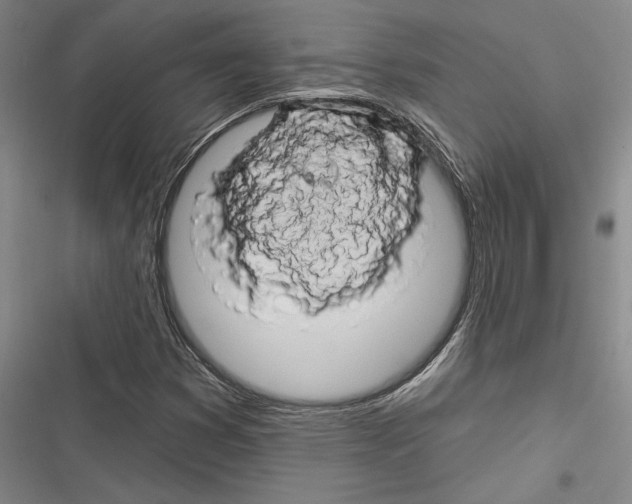 X0000116281353201001111027
