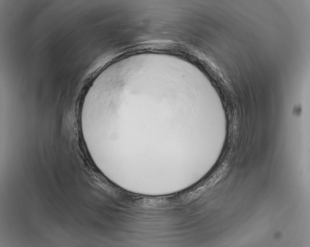 X0000116281354201001111027