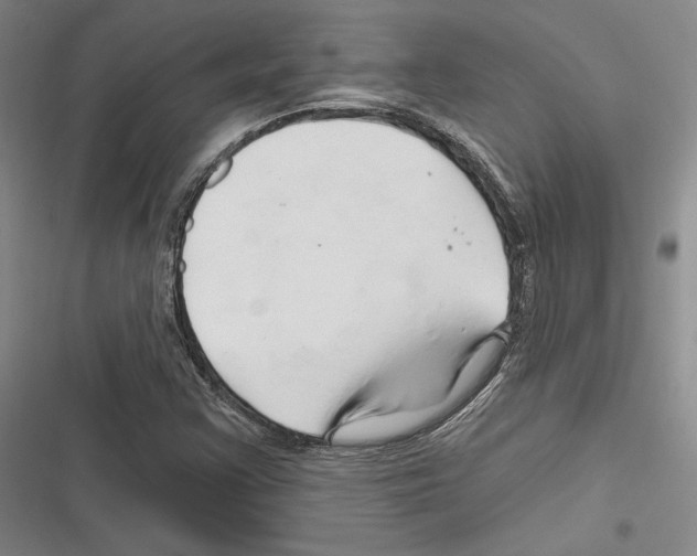X0000116281355201001111026