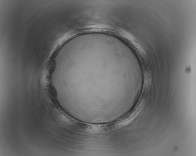 X0000116281357201001111026
