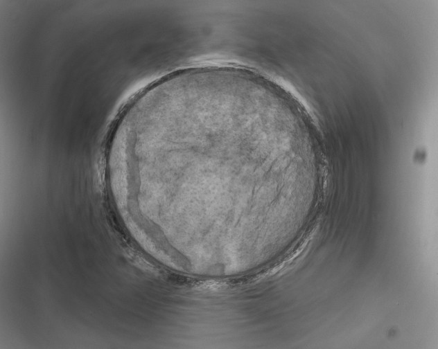 X0000116281358201001111026