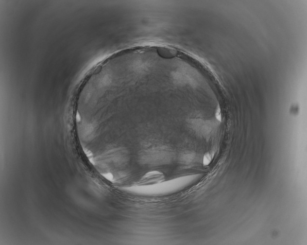 X0000116281359201001111026