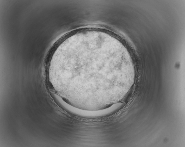 X0000116281360201001111026